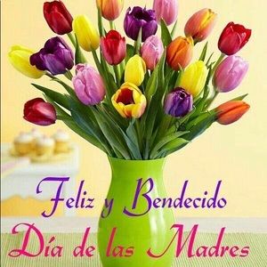 Meet your Posher, Fabiola